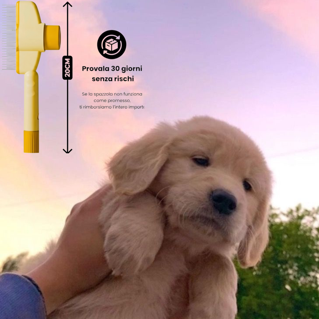 Spazzola™ - Spazzola Magica Per Gatti e Cani