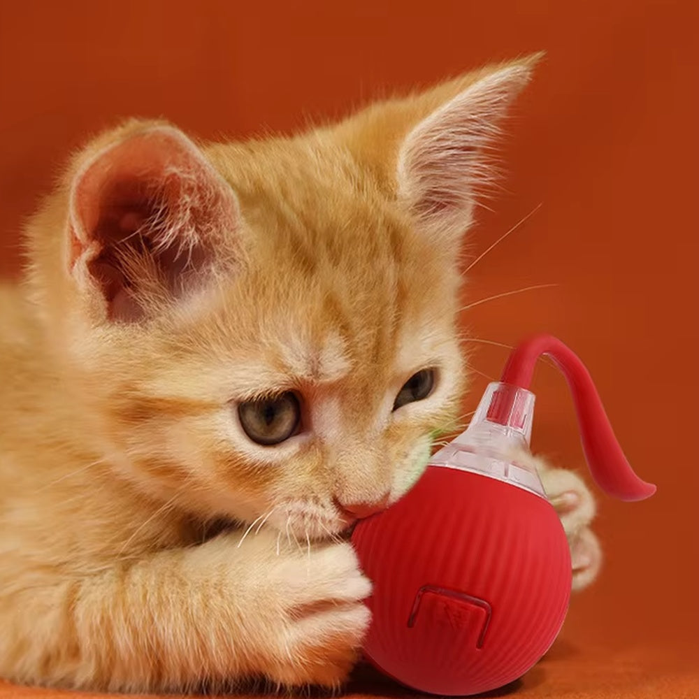 SmartRoll™ – Palla Interattiva Automatica per Cani