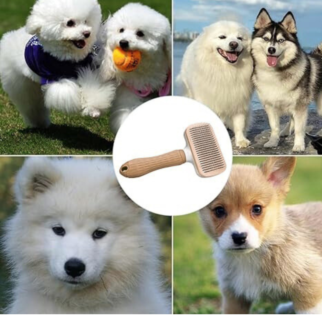 Spazzola™ - Spazzola Magica Per Gatti e Cani