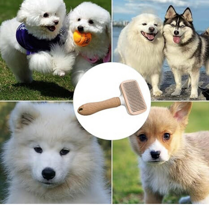 Spazzola™ - Spazzola Magica Per Gatti e Cani